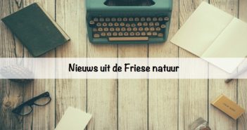 Nieuws uit de Friese natuur Nieuws uit de Friese natuur