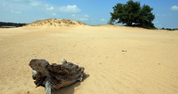 De Friese Sahara