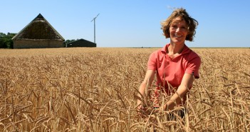 Spelt van Friese bodem