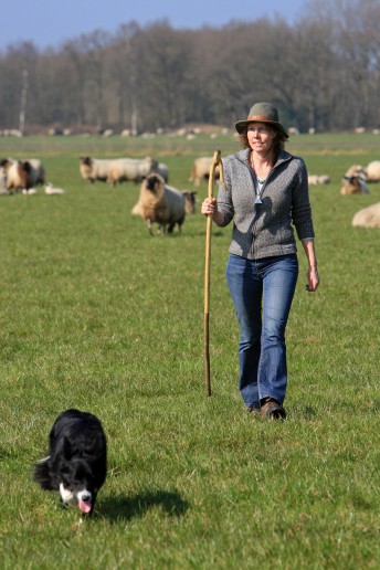 schaapherderin Hilde Groen 4