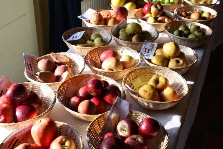 Lekkerste appelsap komt uit de Friese Wouden!