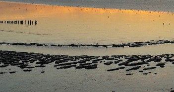 Lezersfoto: fraai plaatje ondergaande zon Ondergaande zon in Fryslân
