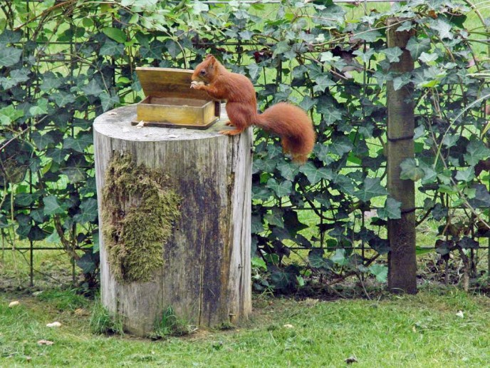 Er zijn genoeg momenten waarop je getuige bent van een maf, leuk of grappig moment. Hieronder staan vijf van zulke momenten in Fryslân die op foto zijn vastgelegd.