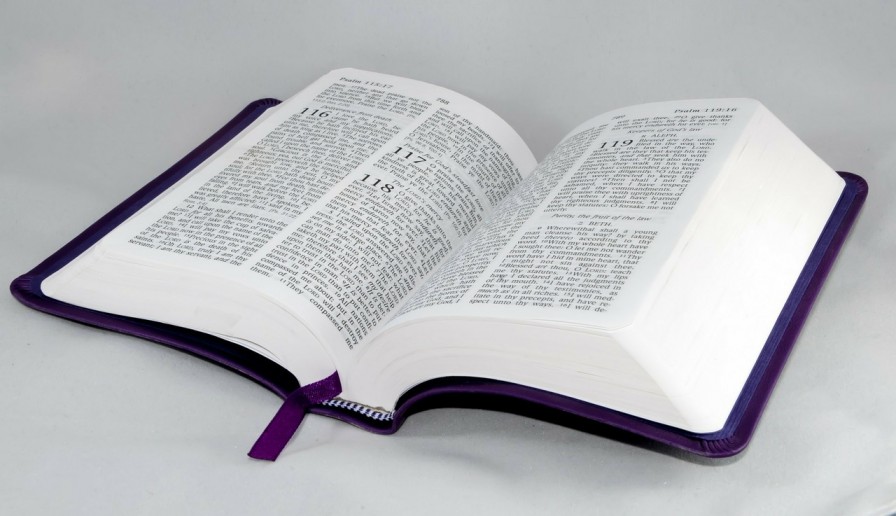 Er komen twee nieuwe Bijbels op de markt. Niet zomaar twee Bijbels, maar één Bijbel voor mannen en één Bijbel voor vrouwen. Uitgeverij Royal Jongbloed uit Heerenveen wil dit idee uitvoeren.