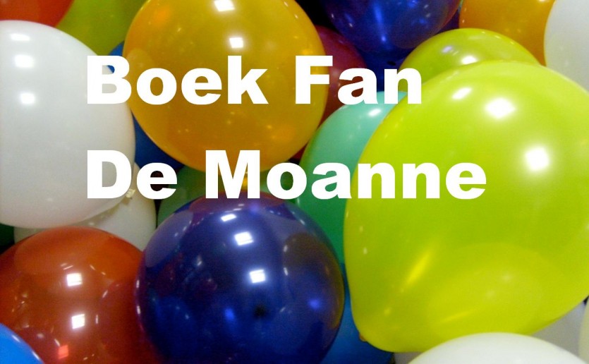 Elke maand heeft de Friese Pers Boekerij het ‘Boek Fan De Moanne’. Deze maand is dat het boek Dertien dagen om een spetterend feest te organiseren van Hanneke de Jong.
