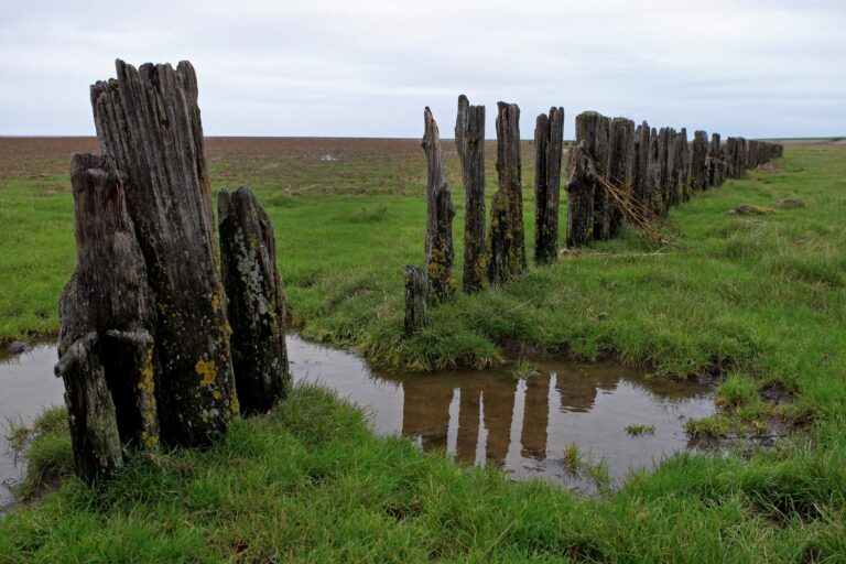 Noord Fryslan buitendijks 06