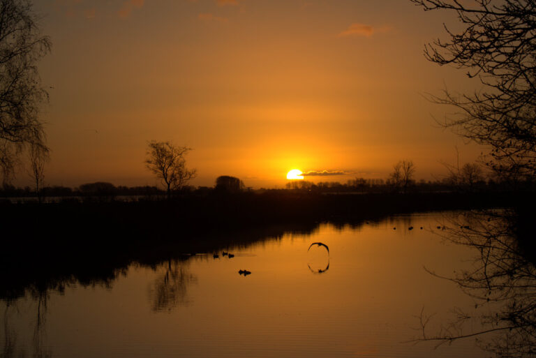 's Morgens vroeg en in de namiddag zien we vaak de zon opkomen en ondergaan. Dat geeft een prachtige gloed over onze provincie. Bij de Potten in Sneek is dat niet anders met deze prachtige ochtendzon. Deze foto is gemaakt door Clara Walstra Witeveen.