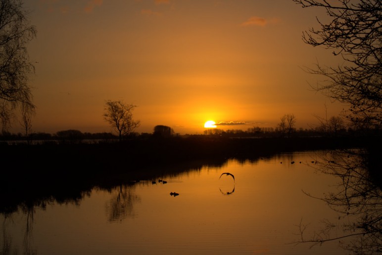 's Morgens vroeg en in de namiddag zien we vaak de zon opkomen en ondergaan. Dat geeft een prachtige gloed over onze provincie. Bij de Potten in Sneek is dat niet anders met deze prachtige ochtendzon. Deze foto is gemaakt door Clara Walstra Witeveen.