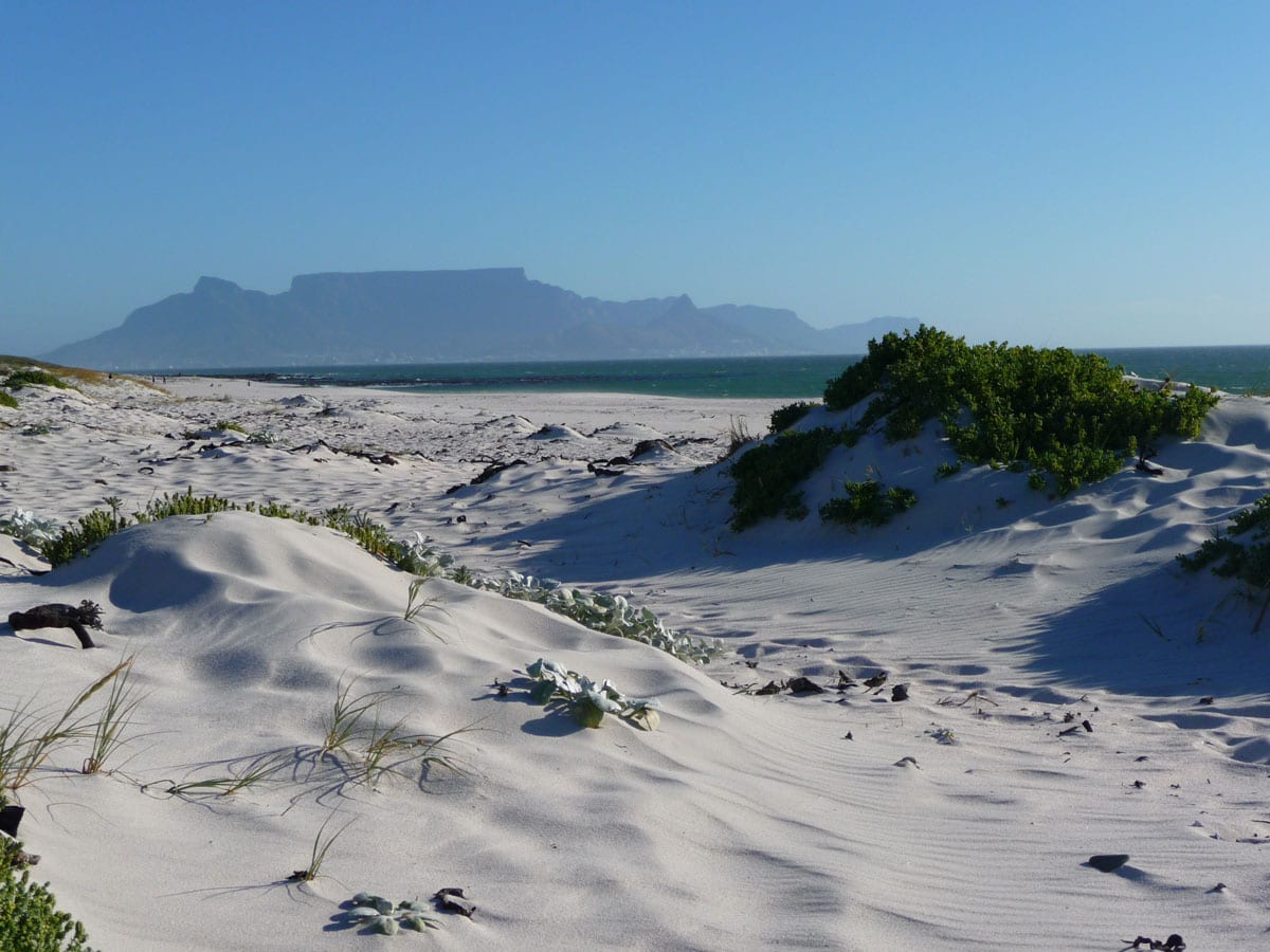 Eindbestemming Melkbosstrand Zuid-Afrika 