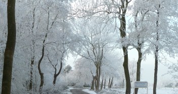 Sneeuwfoto’s in Fryslân