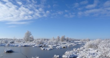Winterse lezersfoto’s Lezersfoto