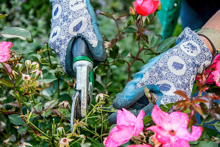 Ruil steen in voor bloemen!