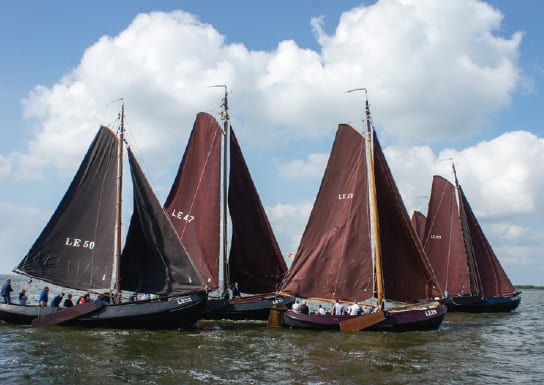 Eropuit in Fryslan 