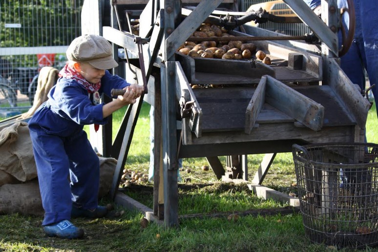 De vijf leukste uitjes op 26 en 27 september in Friesland