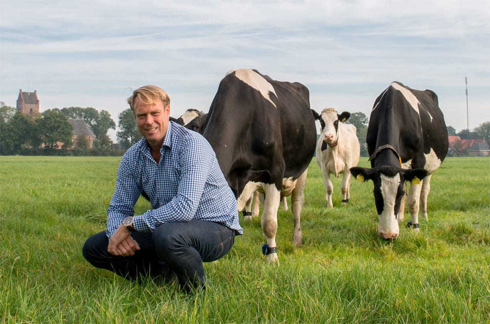 Gras, de groene motor