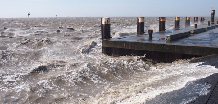 Lezersfoto: op de pier in Holwerd Een lezersfoto van de pier in Holwerd