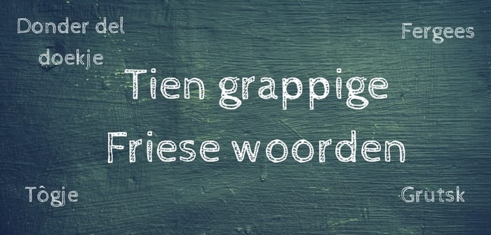Tien grappige Friese woorden - Friesland Post