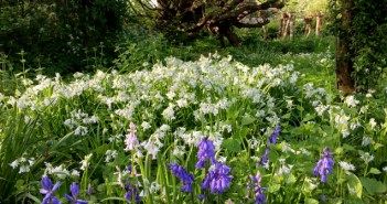 Wat te doen in Friesland op 28, 29 en 30 april? Wat te doen in Friesland