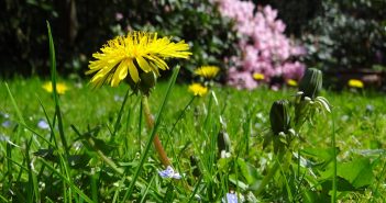 Wat te doen in Friesland op 14, 15 en 16 april? Wat te doen in Friesland?
