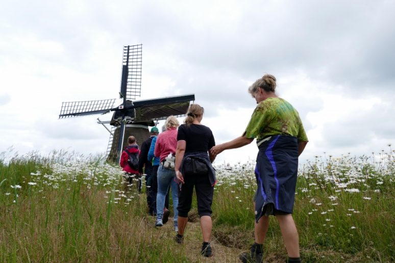 wat te doen in Friesland