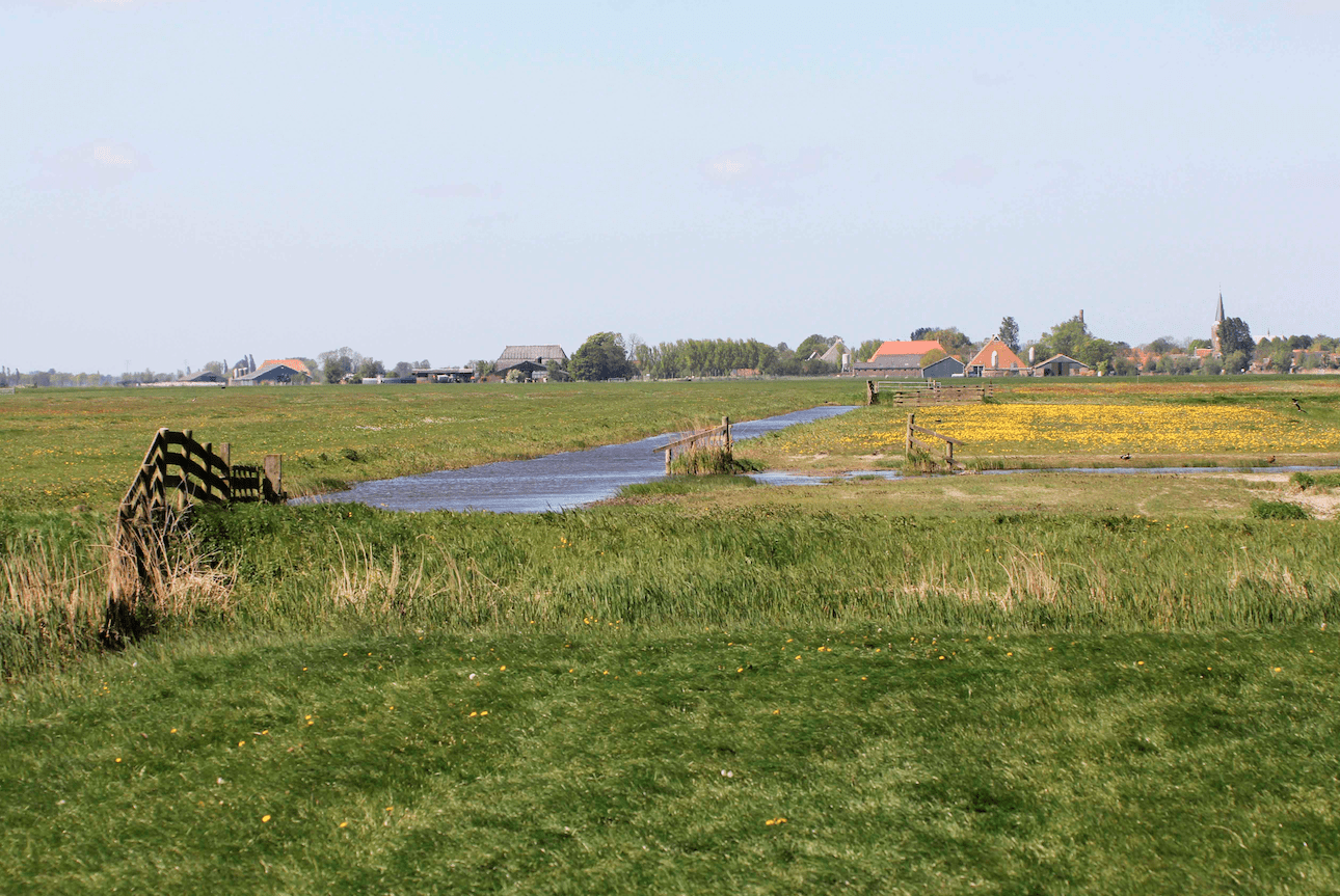 Friese natuurorganisaties maken zich zorgen