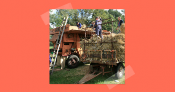 Wat te doen in Friesland op 29, 30 september en 1 oktober? Flaeijelfeest op 30 september