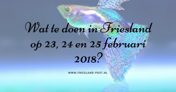Wat te doen in Friesland op 23, 24 en 25 februari 2018? Wat te doen in Friesland