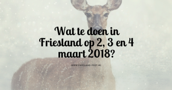 Wat te doen in Friesland op 2, 3 en 4 maart 2018? Wat te doen in Friesland op 2, 3 en 4 maart 2018?
