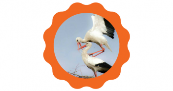 Lezersfoto: puur geluk