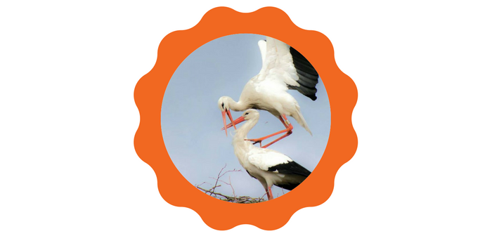 Lezersfoto: puur geluk