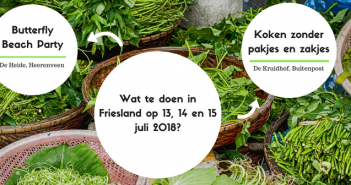 Wat te doen in Friesland op 13, 14 en 15 juli 2018? Wat te doen in Friesland op 13, 14 en 15 juli 2018?