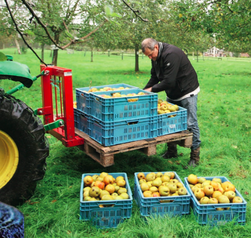 Een appeltje bijdragen aan Fryske Frucht