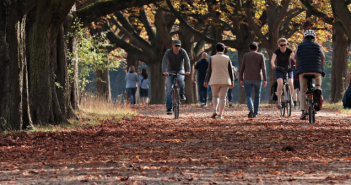Wat te doen in Friesland op 9, 10 en 11 november 2018? Wat te doen in Friesland op 9, 10 en 11 november 2018?