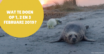 5 activiteiten in Friesland op 1, 2 en 3 februari 2019 WAD