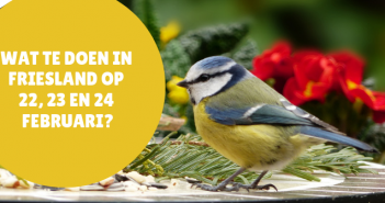 Wat te doen in Friesland op 22, 23 en 24 februari 2019? Wat te doen in Friesland op 22, 23 en 24 februari 2019?
