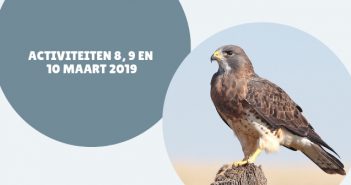 Wat te doen in Friesland op 8, 9 en 10 maart 2019? Wat te doen in Friesland op 8, 9 en 10 maart 2019?
