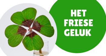 Het Friese Geluk