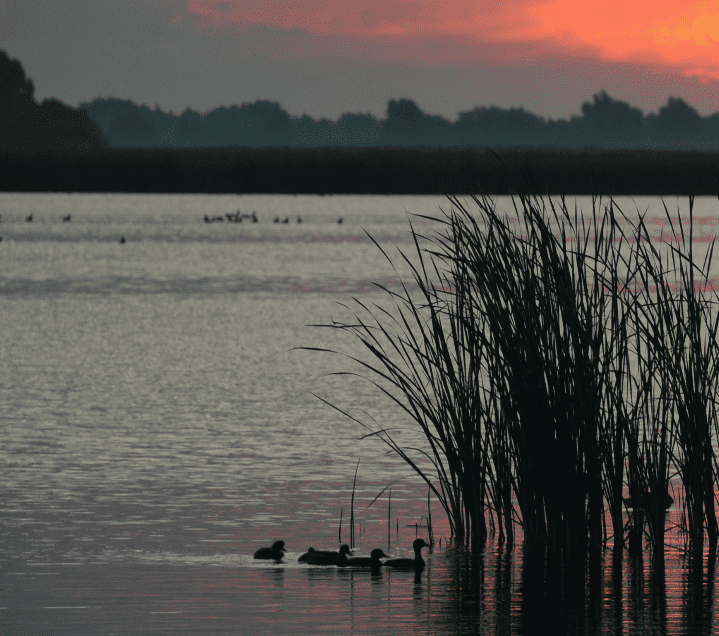 Vijftig jaar Lauwersmeer