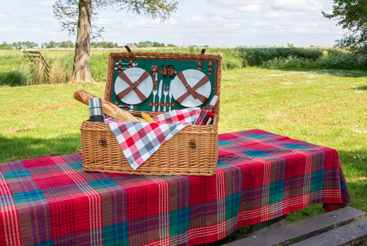 3 parels van picknickplekken in Fryslân