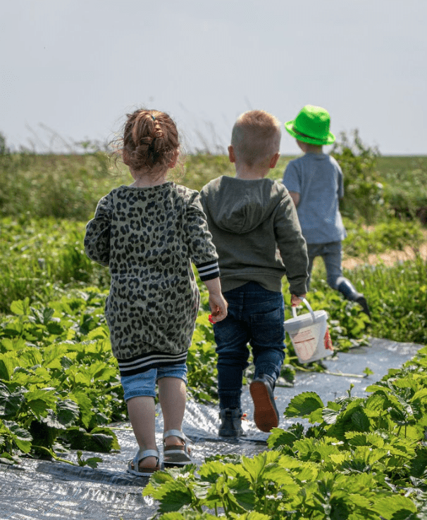 De tuin naast de branding: de zelfpluktuin van Schiermonnikoog