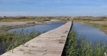 Met Fokko Bosker op zoek naar het goede leven in een duinvallei