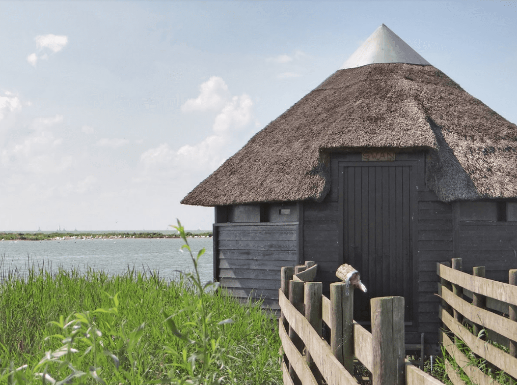 Vijf vogelkijkpunten langs de IJsselmeerkust