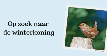 Met Fokko Bosker op zoek naar minstreel uit Duizend-en-een-nacht Op zoek naar de winterkoning
