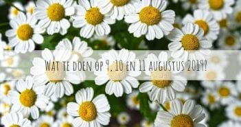 Wat te doen in Friesland op 9, 10 en 11 augustus 2019?