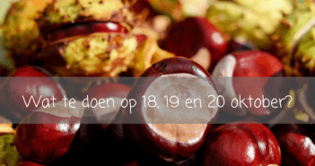 Wat te doen in Friesland op 18, 19 en 20 oktober? Wat te doen in Friesland?