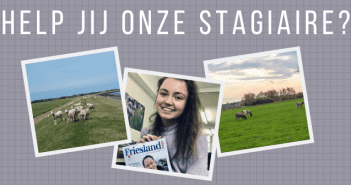 Onze stagiaire heeft jouw hulp nodig! Help onze stagiair