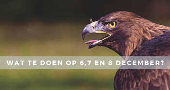 Wat te doen op 6, 7 en 8 december? Wat te doen op 6, 7 en 8 december in Friesland?