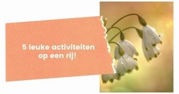 Wat te doen in Friesland op 7, 8 en 9 februari 2020?