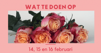 Wat te doen in Friesland op 14, 15 en 16 februari 2020? Wat te doen in Friesland op 14, 15 en 16 februari