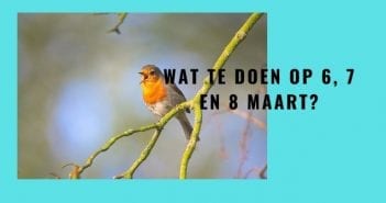Wat te doen in Friesland op 6, 7 en 8 maart 2020?